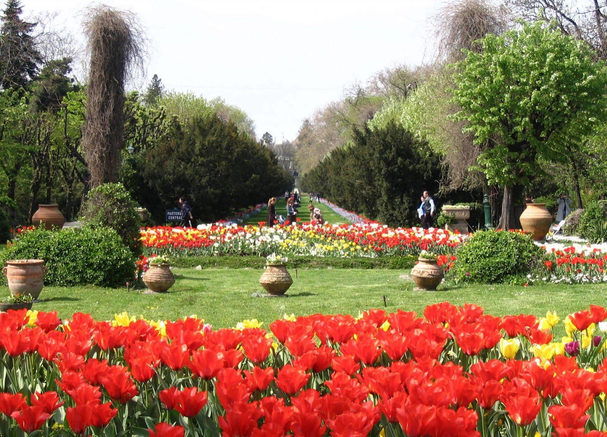 Central Park View Apartments Bucureşti Exterior foto